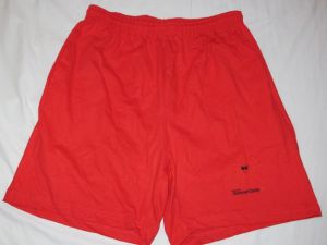 Microsoft Summer Camp 95 Shorts